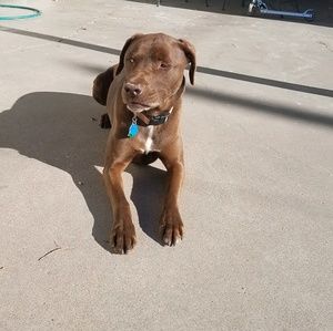 Meet your Posher, Chloe